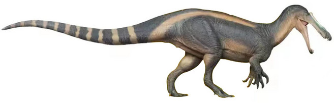 PNSO 선사 시대 67 스코미무스 악어 돌아 29cm급 공룡 육식 동물 스피노사우루스과 수각 아목 피규어 프라모델 장난감 모형 리얼 PVC 공룡 좋아 생일 선물 오리지널 인테리어 도장 완료, 1개