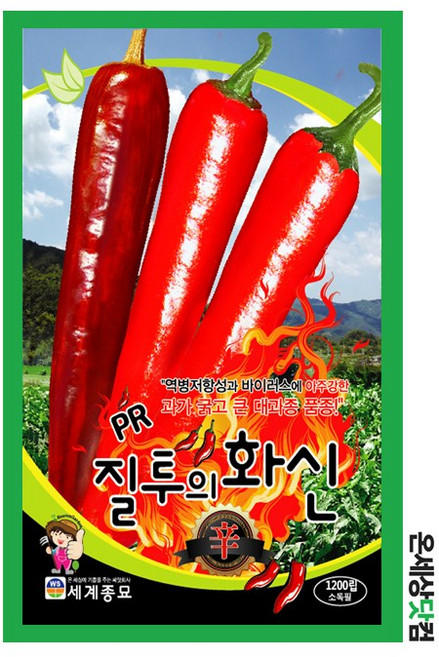 질투의화신 1200립 / 고추씨앗 고추씨 풋고추 고추종자 매운고추 씨앗, 1개