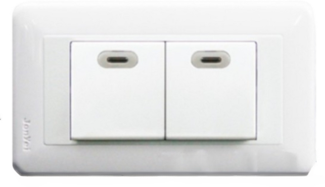 中一電工 熊貓系列 JY-5255W 白色螢光二開關 附發票 DIY簡易安裝 夜間螢光指示, 1個