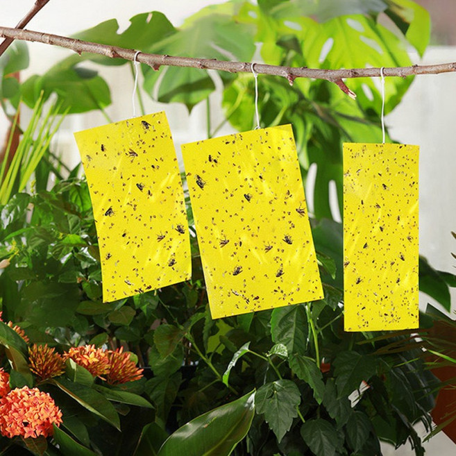 끈끈이 트랩 벌레 해충 (20X10) 60장, 50개