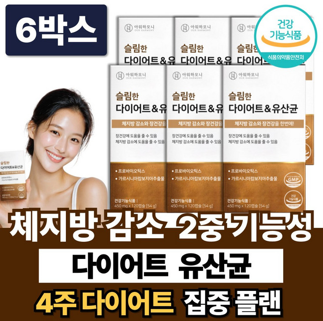 체지방 감소 다이어트 유산균 중년 내장지방 복부지방 뱃살 보조제 /12개구매 리셋90 증정, 6박스, 120정