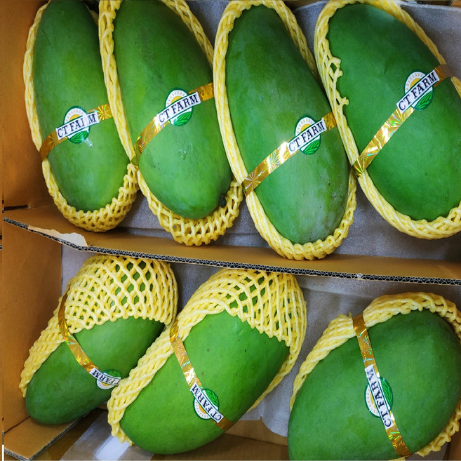 베트남그린코끼리망고( Elephant Green Mango), 1개