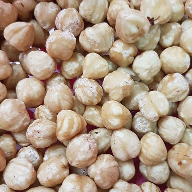土耳其 生榛果 600G, 1個, 榛果<600G>