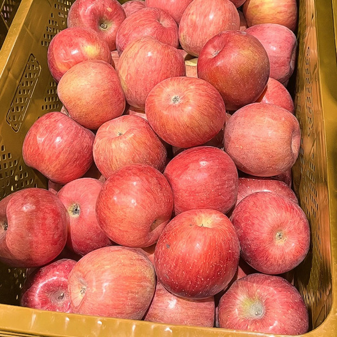 [한정특가] 꿀 고당도 부사 못난이사과, 1개, 5kg