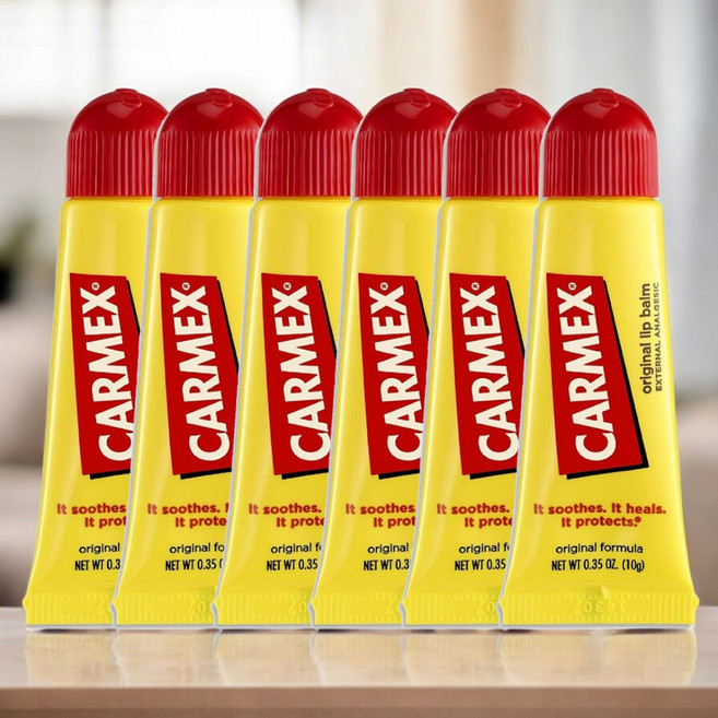 Carmex 카멕스 메디케이드 집중 보습 립케어 립밤 10g x6