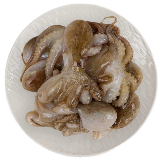 냉동 쭈꾸미 2.16kg 업소용 대용량 볶음용 벌크, 6미(2.16kg/180gX12개)