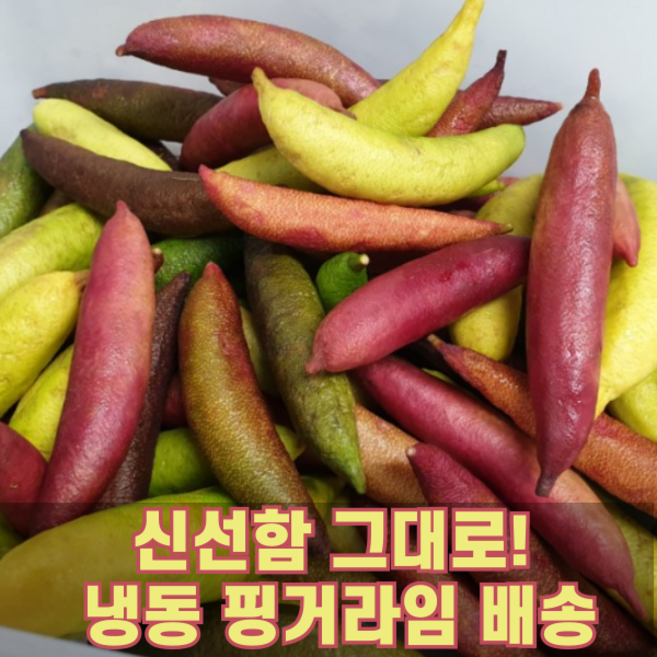농장 직송! 신선한 냉동 핑거라임 130g Finger Lime 새콤달콤 캐비어라임 톡 터지는 국내산 알맹이과일 희귀과일 열대과일 톡톡튀는 케비아라임 비타민C 신맛 비타민과일, 1박스, 냉동 130g