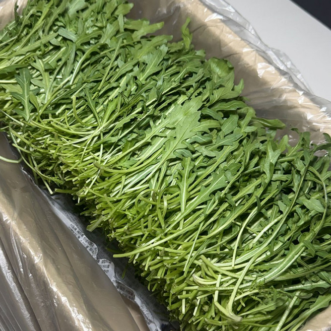 농진사 와일드 루꼴라 국내산 특품, 2kg, 1개