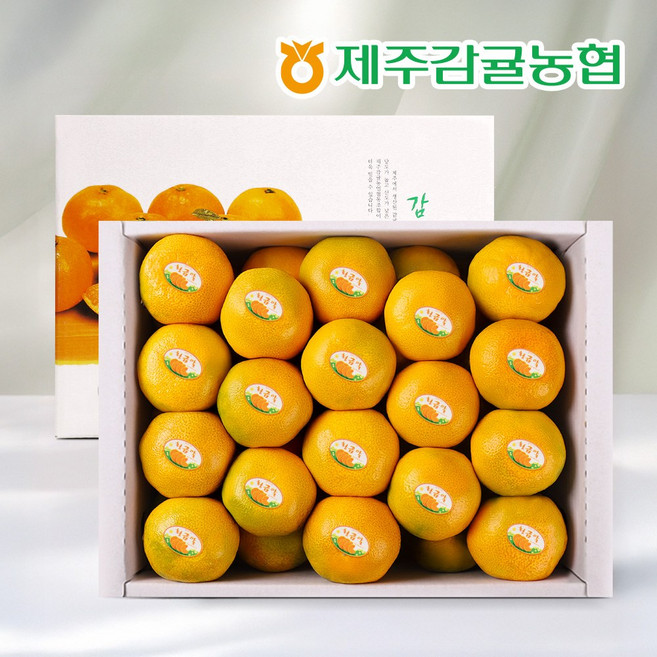 [제주바람] 제주농협 직송 제주 하우스감귤 선물세트 1.5kg (로얄과), 1개