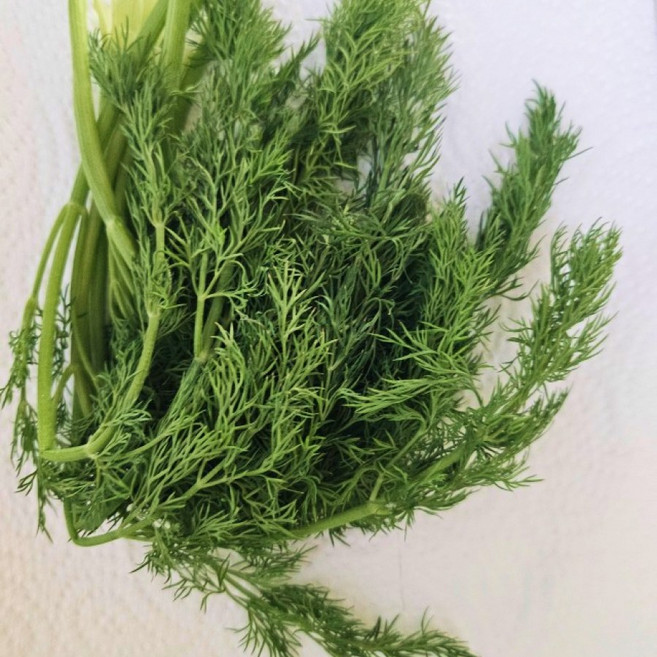 [특A급] 산지직송 국내산 향긋하고 싱그러운 신선한 딜, 1박스, 100g