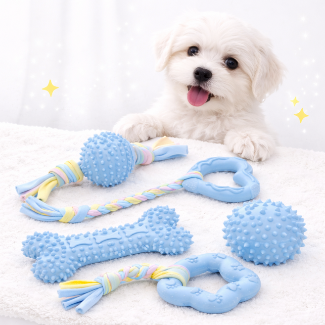 리더스펫 강아지 이갈이 치발기 터그놀이 치석관리 장난감 5종 세트, 1세트, 블루