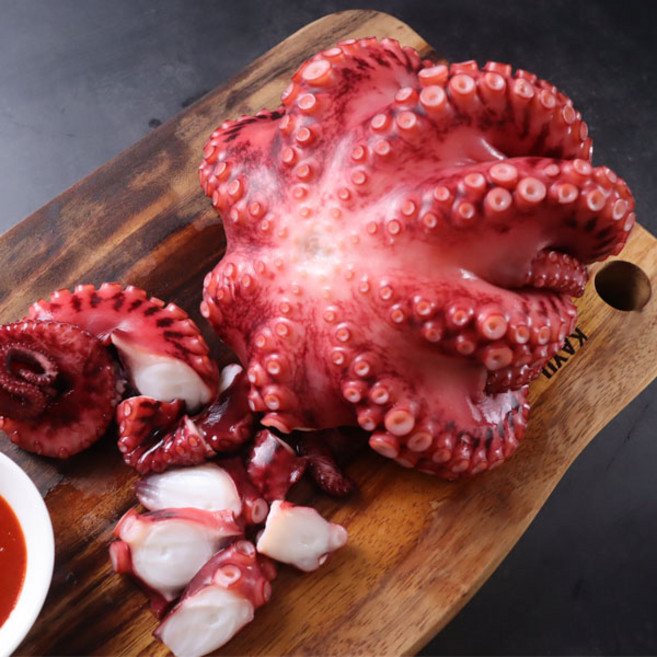 대 사이즈 한마리 자숙 참문어 1.5kg급 1마리, 1개, 1.5kg급(자숙후900g급)