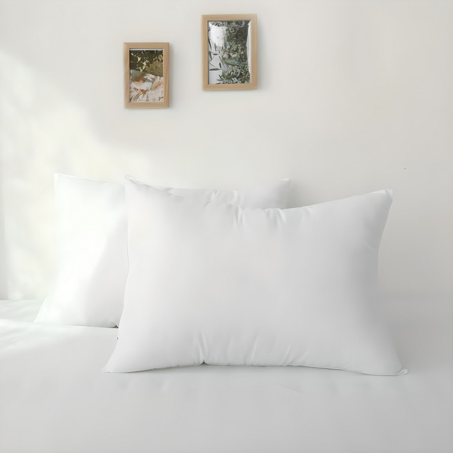 세상포근 구름 베개솜 지퍼형, 2개