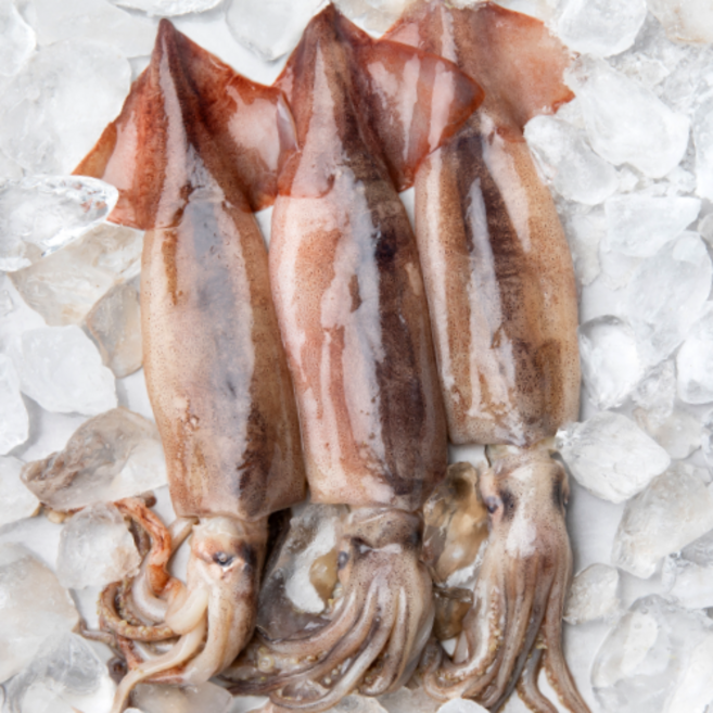 [산지직송] 자연산 손질 통오징어 오징어 통찜, 1개, 400g 내외 (2미)