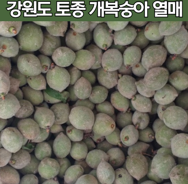 당일수확 자연산 강원도 햇 산 복숭아 게복숭아 개복숭아 개봉숭아 청 효소 담금청 만들기 절임 절임 제철 열매 구입 5kg 10kg