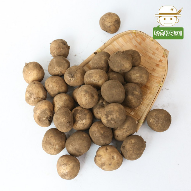 삼촌밥먹자 25년 수확 파근파근 햇 수미감자 3kg (조림용), 1개