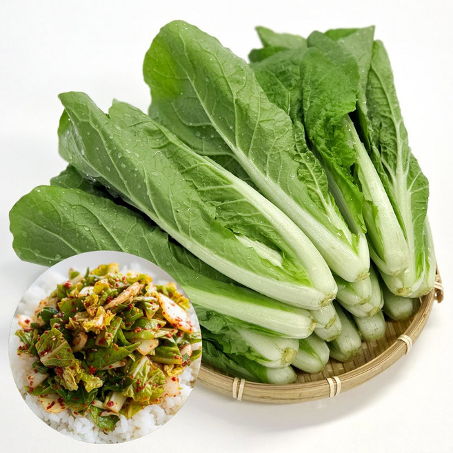 국내산 울팜 얼갈이 배추, 1개, 4kg