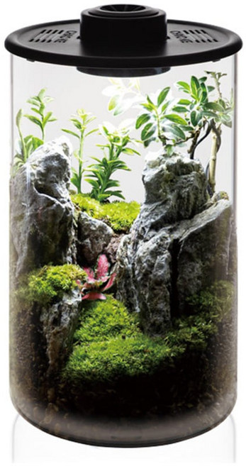 그린월드 와디언 케이스 원기둥 (ZT150)테라리움 사육장 비바리움 식물 케이지, 1개