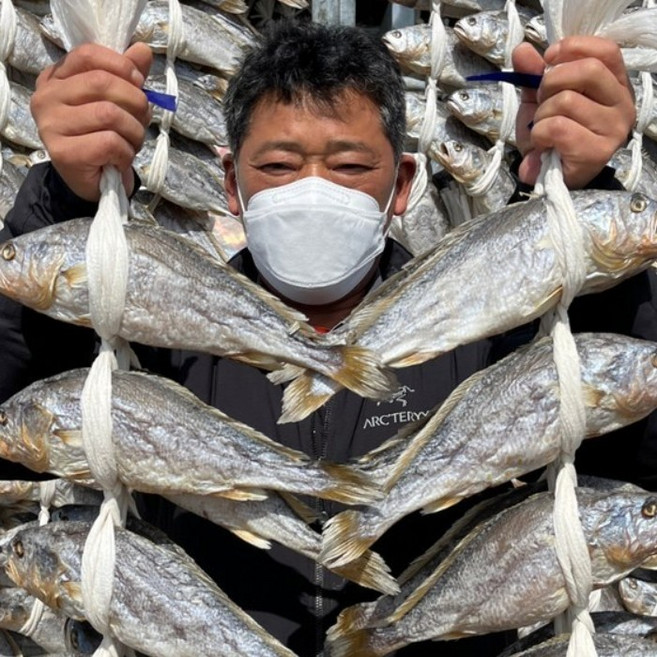 영광 법성포 영광굴비 보리굴비 산지직송 국산 참조기, 1박스, 1.2kg 내외(16-20cm) 20미