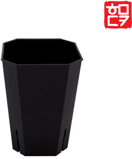 투명 롱 슬릿화분 삽목용 팔각 슬릿분, 5. 롱슬릿-블랙(소), 1개