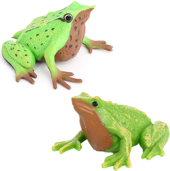 제트피규어 다윈 개구리 동물 피규어 장난감 모형, 1개