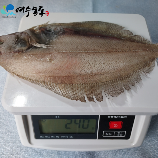 반건조 참가자미 대짜 30cm 내외 2마리 국내산 와사비 믹스간장 증정, 1개, 500g