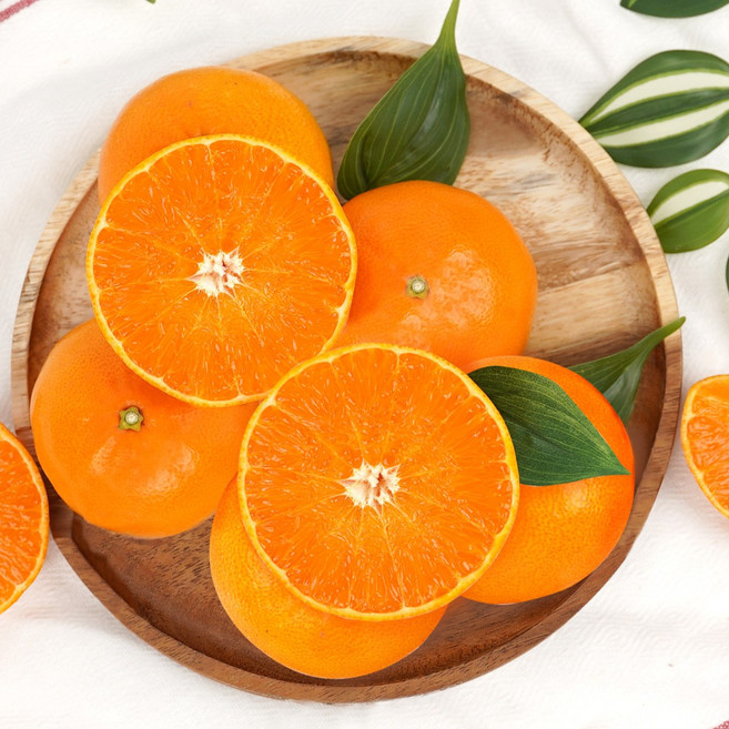 제주 천혜향 3kg (12brix 이상)