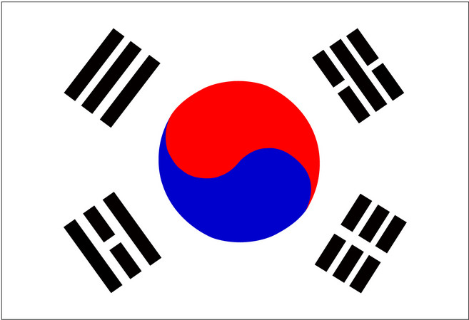 도미노스토리 태극기 스티커 캐리어 방수 110x75mm 대한민국 국기 깃발 11장