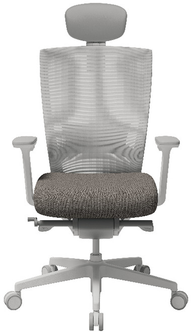 SIDIZ T50 人體工學椅 辦公電腦椅, 白框灰