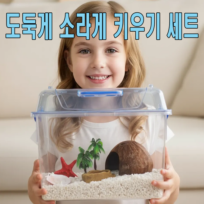 도둑게& 소라게 키우기세트 기르기 사육장 반영구적인 바닥재사용 특대 2호 세트, 특대 2호-코코넛은신처, 1개