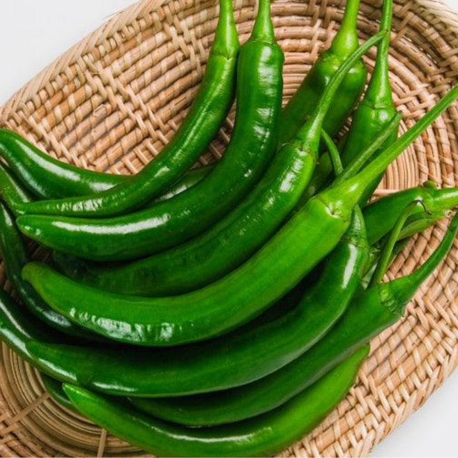 대아프레시 야채 아저씨네 국내산 신선 아삭 매운 청양고추, 1박스, 1kg