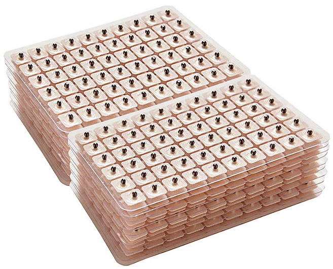 귀지압 패치, 600개, 귀지압패치