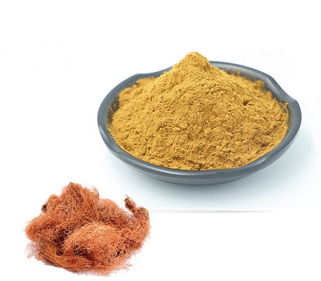 옥수수수염추출분말 100g 샘플, 1개, 본상품선택