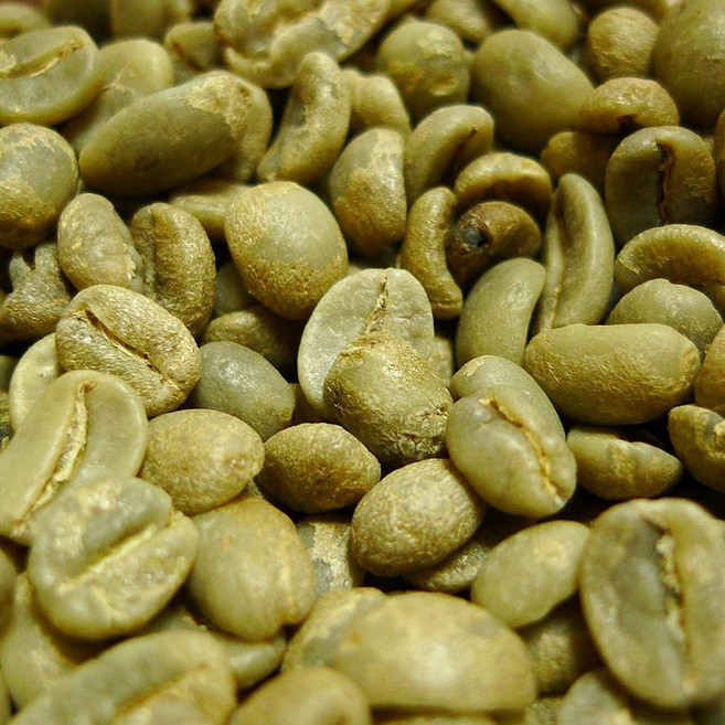 DeliciousCoffee.com 일본직구 볶지 않은 신선한 빈 (과테말라산 SHB 907g 0.9kg 2lbs), 사이즈