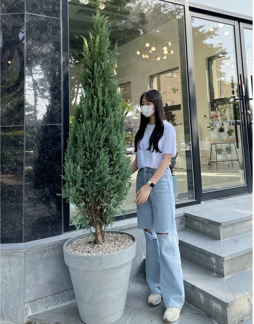 문그로우 1.0m 1.2m 상록수 측백나무 침엽수, H1.0m, 1개