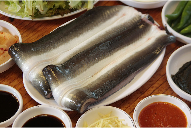 [ 당일한정 200세트!! ] 풍천민물장어 자포니카 국내산 천수산 풍천민물장어 손질민물장어 500g 손질 후 정량250g 1kg (손질 후 정량250g), 500g(정량250g), 1개