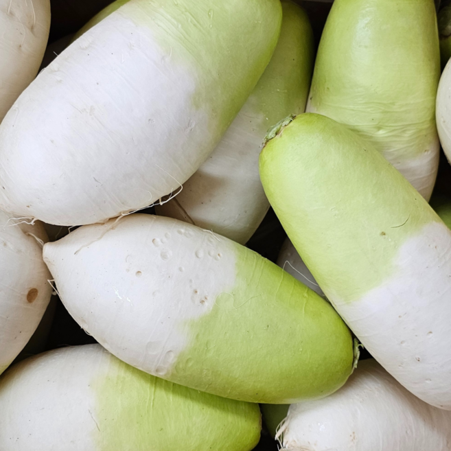 [굿피플] 못난이월동무 제주월동무 제주무우 무 김장무, 1박스, 못난이 월동무 7kg