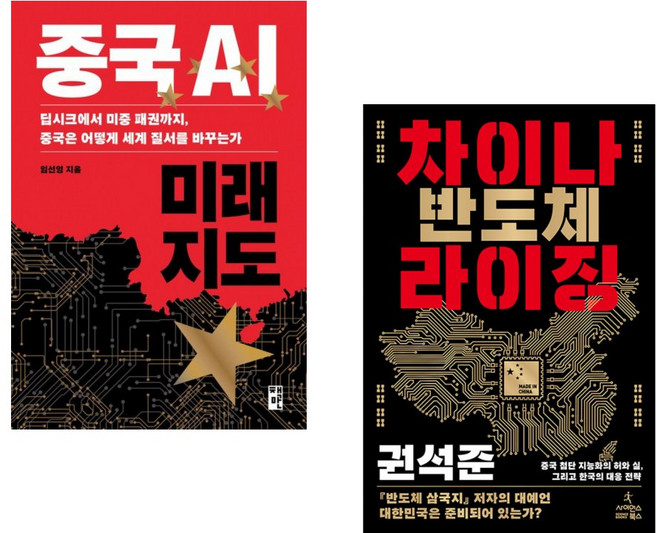 (중국 미래전망) 중국 AI 미래 지도 + 차이나 반도체 라이징 (전2권)
