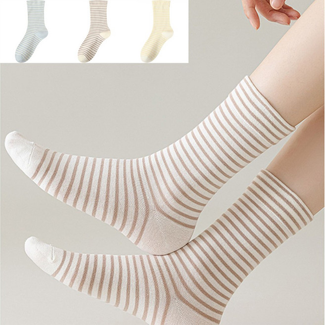 다이나토리 여성 사계절 베이직 스트라이프 중목 양말 3켤레