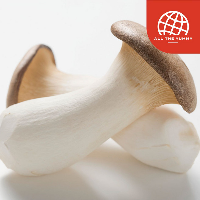 [올더야미] 신안 임자도 산지직송 무농약 새송이버섯 특상 1kg, 1개, 단품