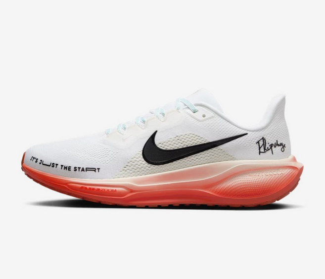 나이키 페가수스 41 엘리우드 킵초게