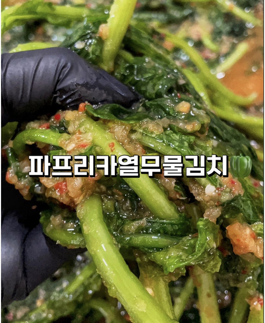 전라도 국내산 열무물김치 파프리카열무물김치 1kg 3kg, 1개