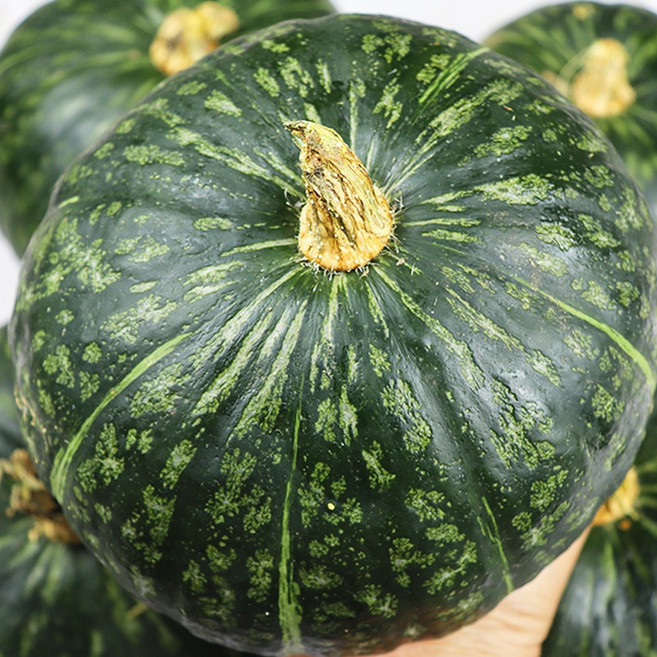 호박 미니단호박 상품 제주단호박, 단호박 왕 2kg, 1개