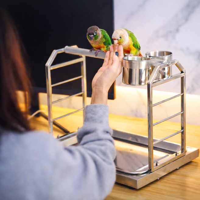 앵무새 놀이터 중형 탁상 횃대 ps168, 1개, 스테인레스