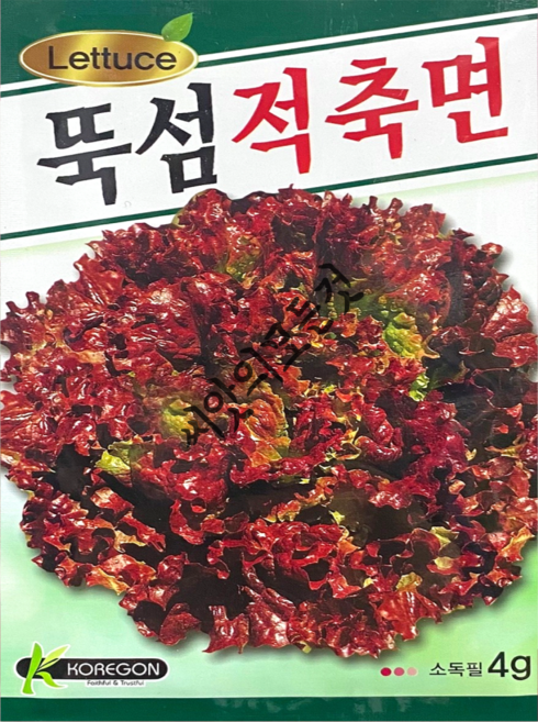 상추씨앗 종자 뚝섬적축면 3500립, 1개