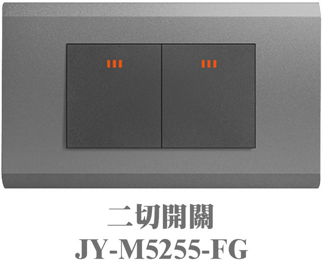 JYE 中一電工 二切開關 JY-M5255-FG, 1個, 月光系列彩色經典烤漆款/二開關蓋板組