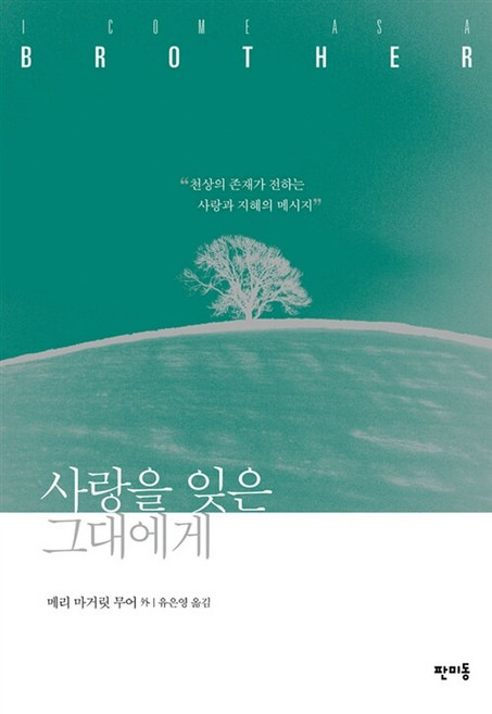 [중고-최상] 사랑을 잊은 그대에게, 반양장