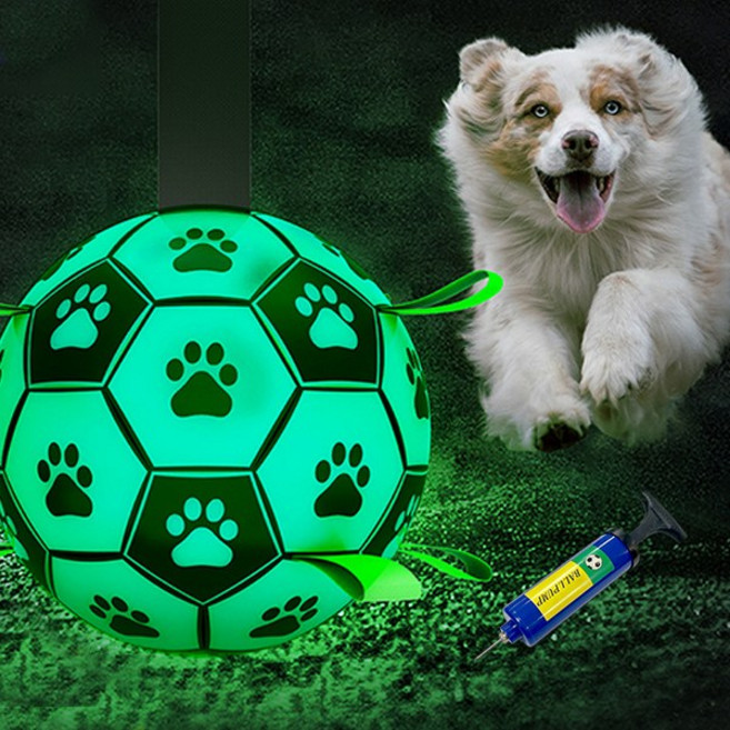 치프몰 야광 축구공 반려동물 장난감 + 펌프, 1개, 기본