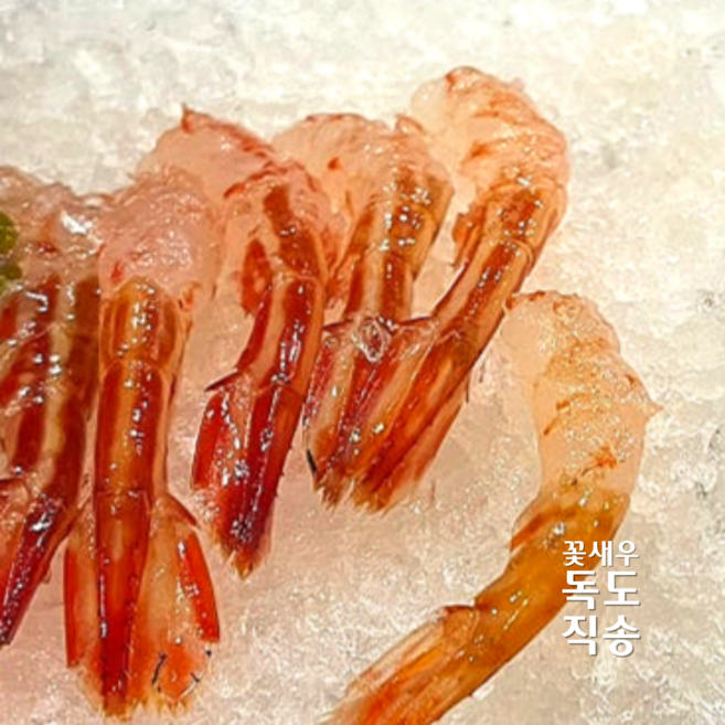 독도꽃새우활 급랭 홈마카세, 1개, 1.5kg
