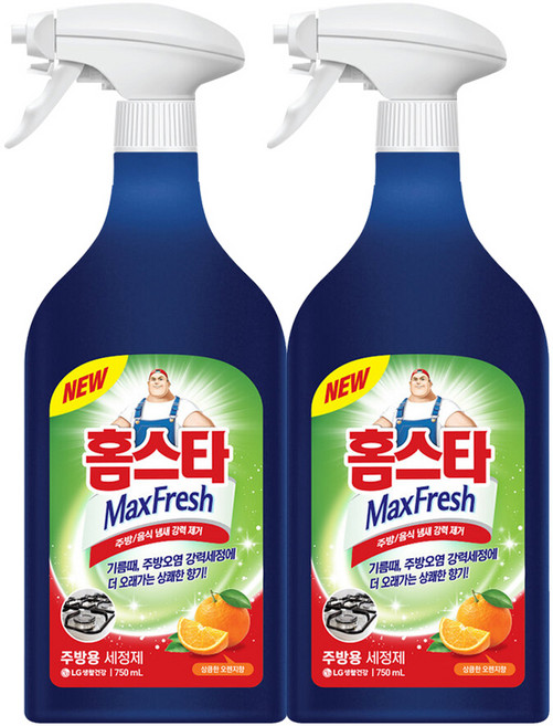 홈스타 주방용 세정 스프레이 750ml x2개, 2개